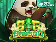 Casino free slots8